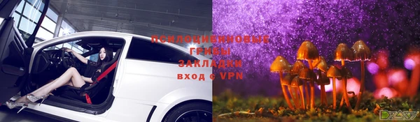ГАЛЛЮЦИНОГЕННЫЕ ГРИБЫ Армянск