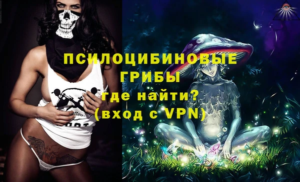 ГАЛЛЮЦИНОГЕННЫЕ ГРИБЫ Армянск