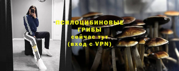 MDMA Premium VHQ Аркадак