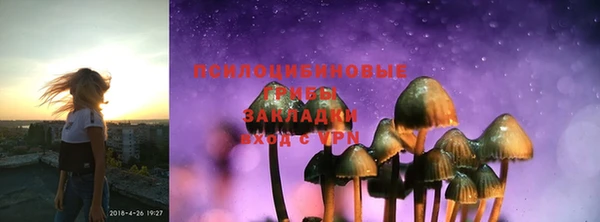 ГАЛЛЮЦИНОГЕННЫЕ ГРИБЫ Армянск