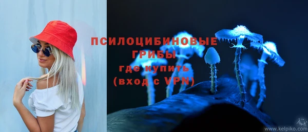 ГАЛЛЮЦИНОГЕННЫЕ ГРИБЫ Армянск