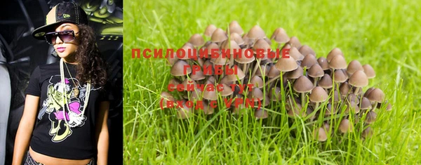 MDMA Premium VHQ Аркадак
