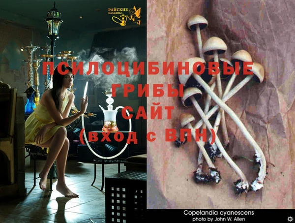 MDMA Premium VHQ Аркадак