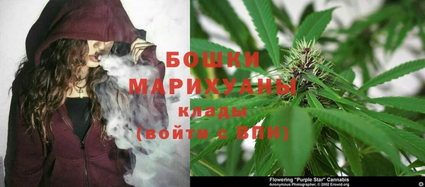 ГАЛЛЮЦИНОГЕННЫЕ ГРИБЫ Армянск